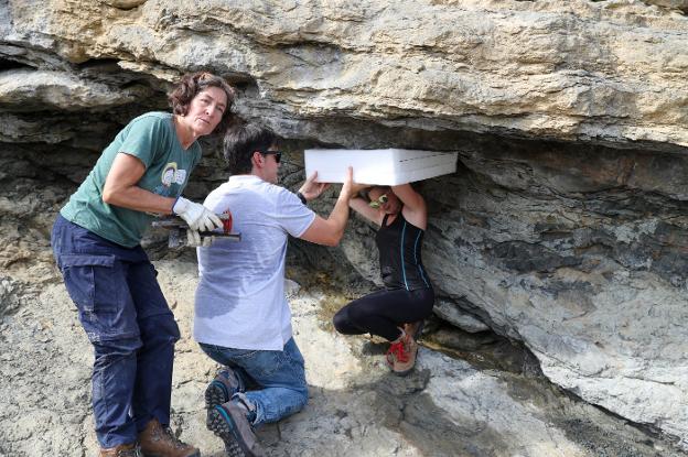 El MUJA recupera huellas de dinosaurios de 154 millones de años del acantilado de Lastres