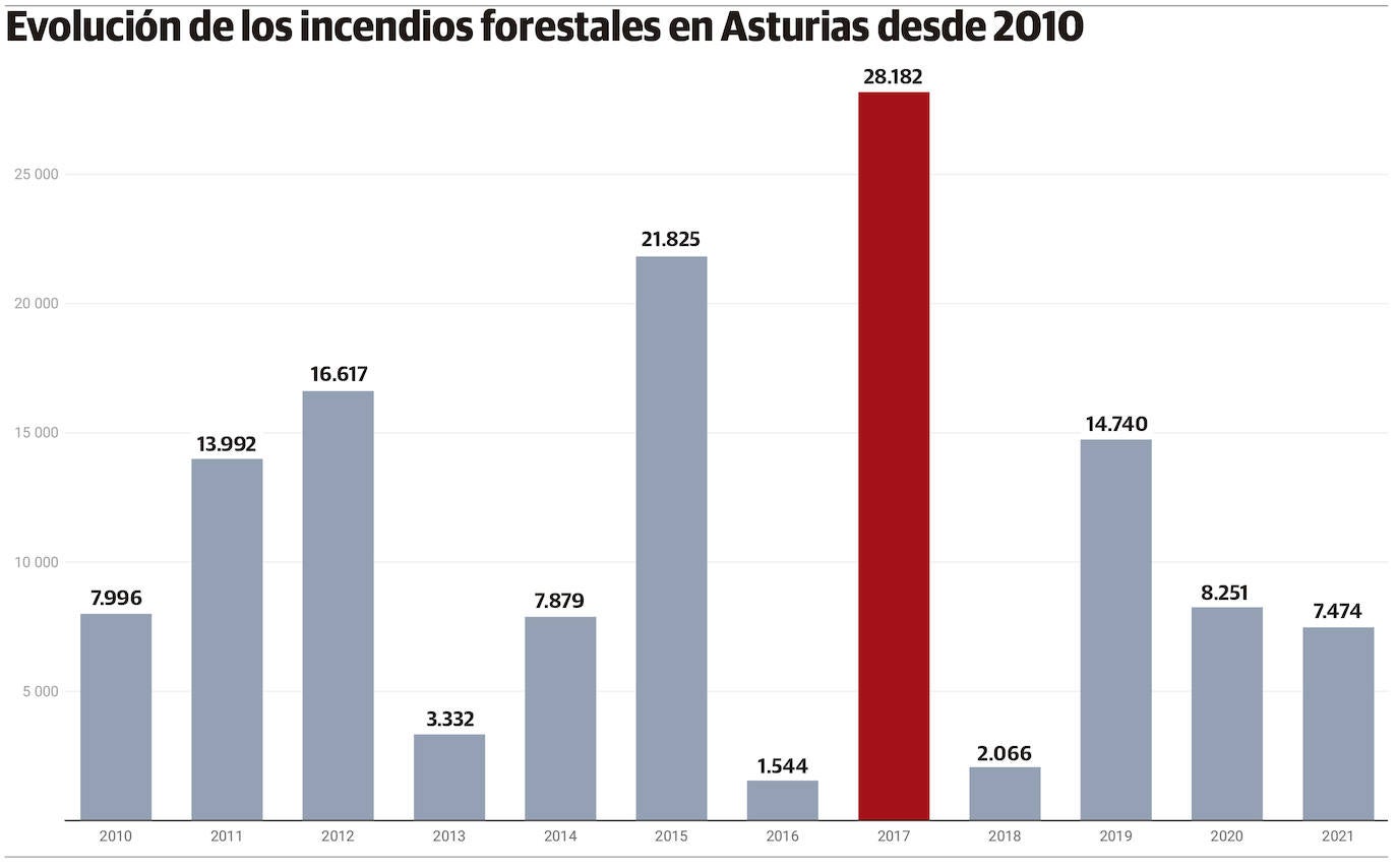 El fuego arrasó desde enero más superficie que todo el año pasado