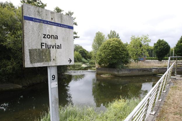 Quitar las compuertas, primera acción del proyecto del Piles