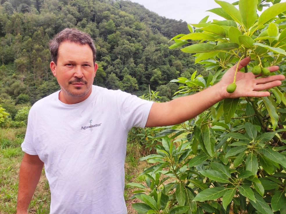 «Muchos nos llaman para que les busquemos una finca y venirse a Asturias»