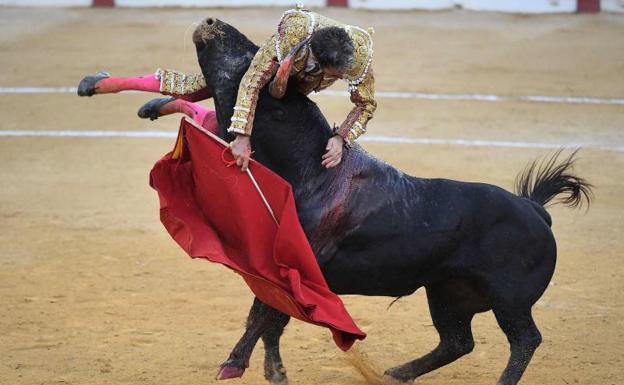 Una tremenda cogida a José Tomás mantuvo en vilo a la plaza de toros de Alicante