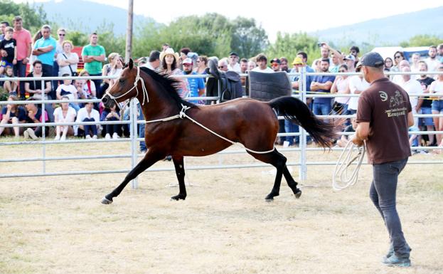 Premoño, un paso en el Camino Primitivo: qué hacer y qué ver