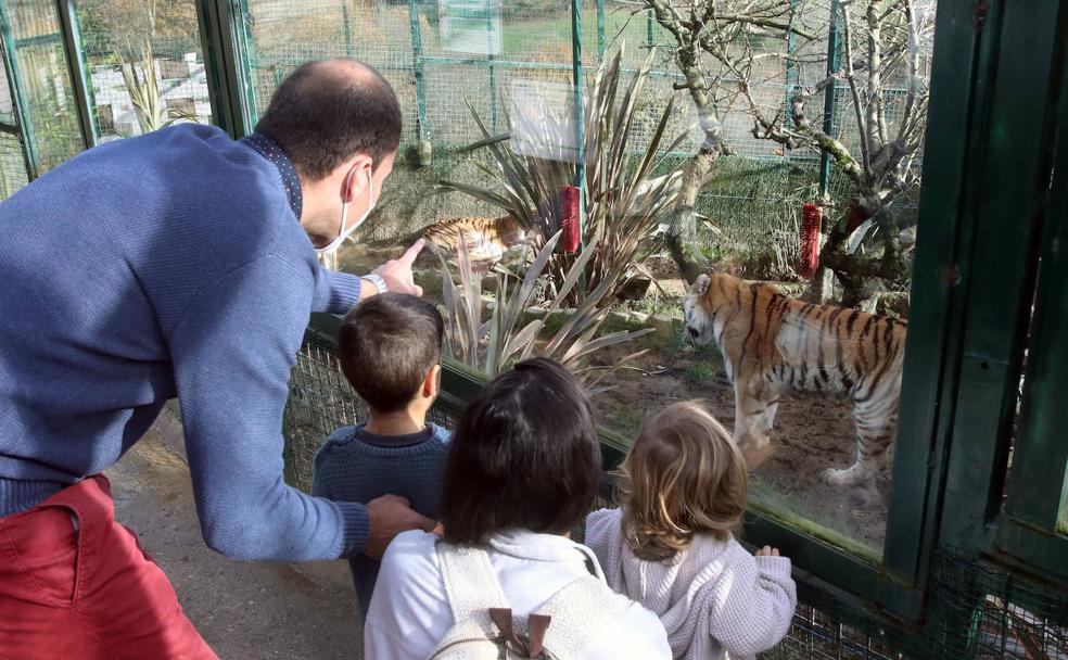 Niños y animales: los mejores planes en Asturias para acercar a los más pequeños a la naturaleza