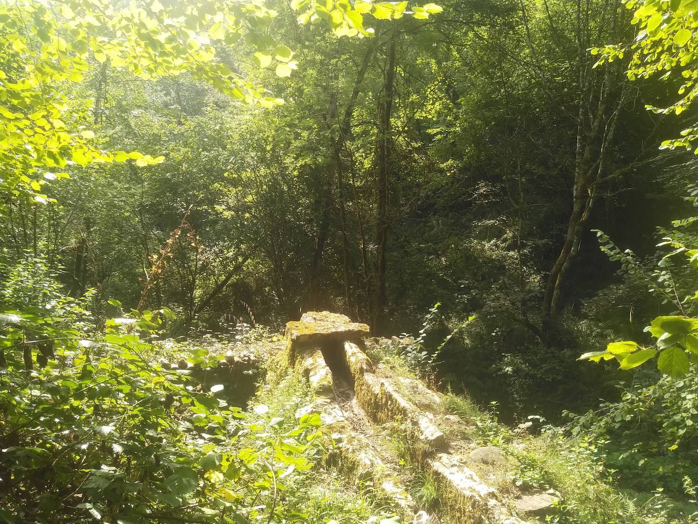 Una cueva, un arroyo, un bosque autóctono y seis molinos