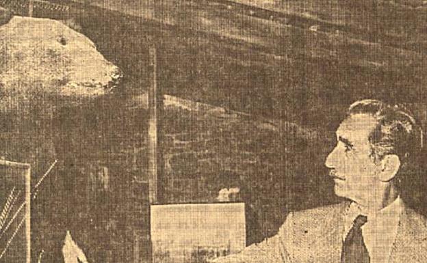 Alfonso, a pie de oso