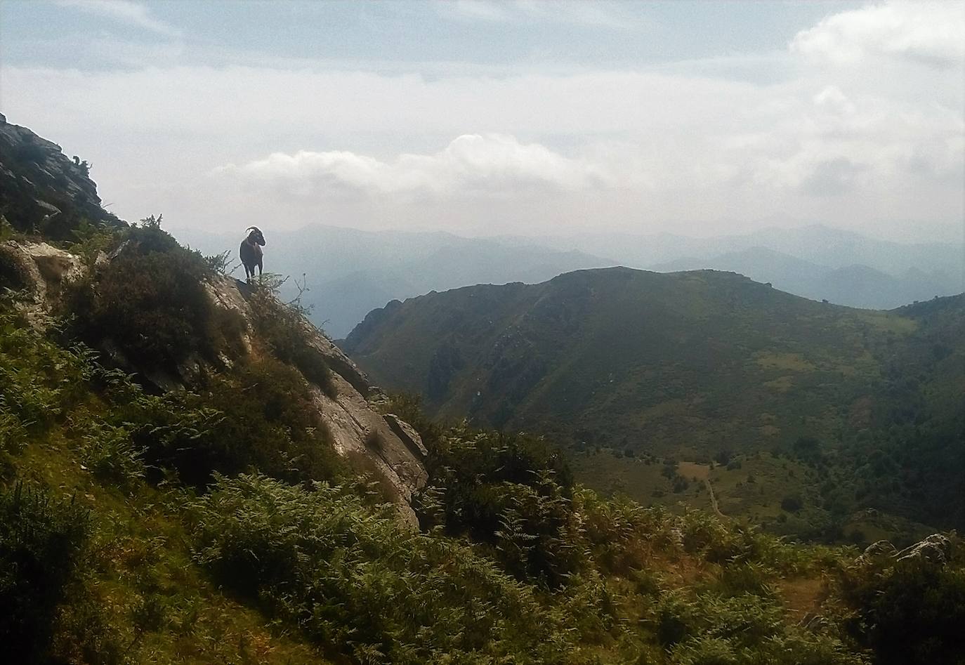 Por tierra de gamos: una ruta para conocer la sierra del Sueve