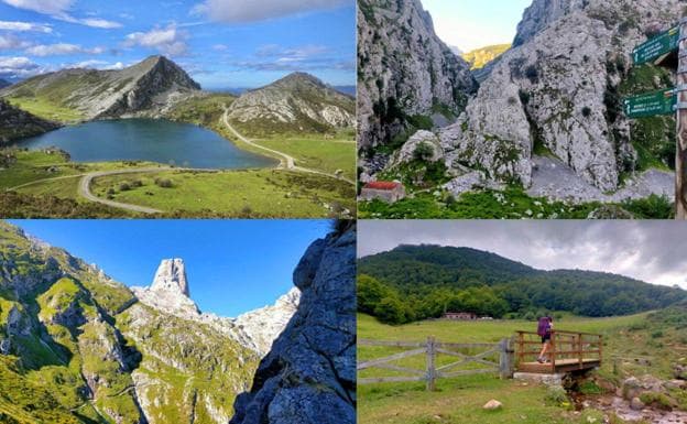Los concejos de los Picos de Europa reciben 248.000 euros para 10 proyectos