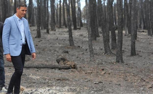 Las empresas forestales critican el decreto contra los incendios: «Nos criminalizan»