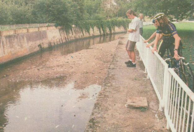 Desastre en el Piles