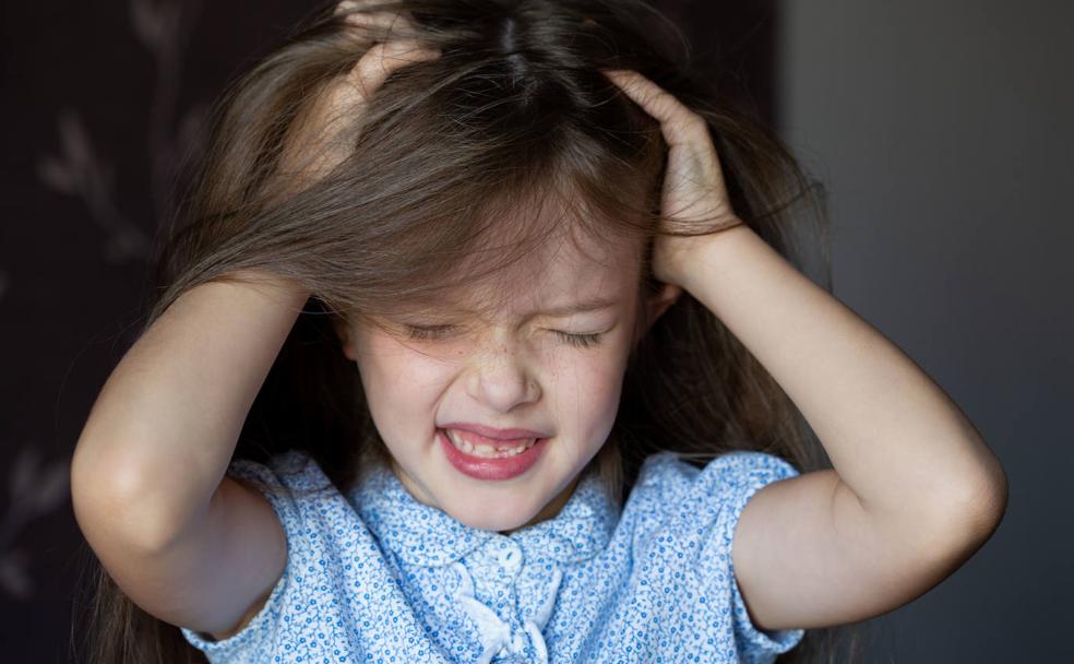 ¡Stop piojos! Cómo prevenir su aparición y acabar con estos parásitos