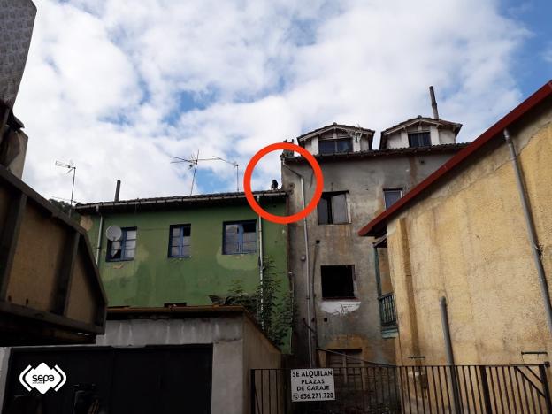 Rescatan a una perra de un tejado en Sama