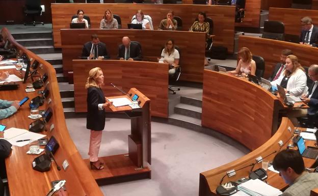 Mallada critica la «ineficaz» gestión de Barbón en todas y cada una de las áreas de Gobierno