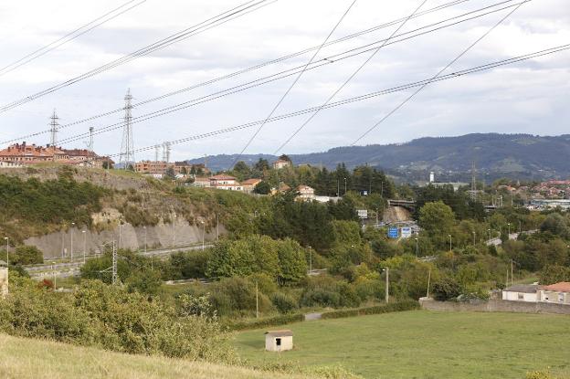 Los jabalíes causaron solo el año pasado 62 accidentes de tráfico en Gijón