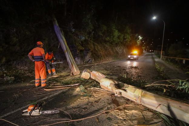 «Circulamos con miedo porque hay más árboles que van a caer a la carretera»