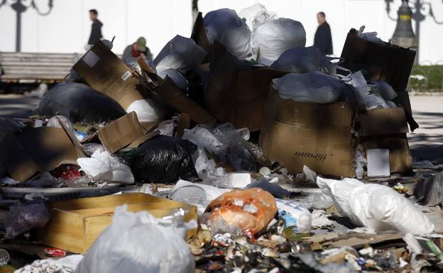 Un profesor se encuentra a un exalumno «sobresaliente» hurgando entre la basura