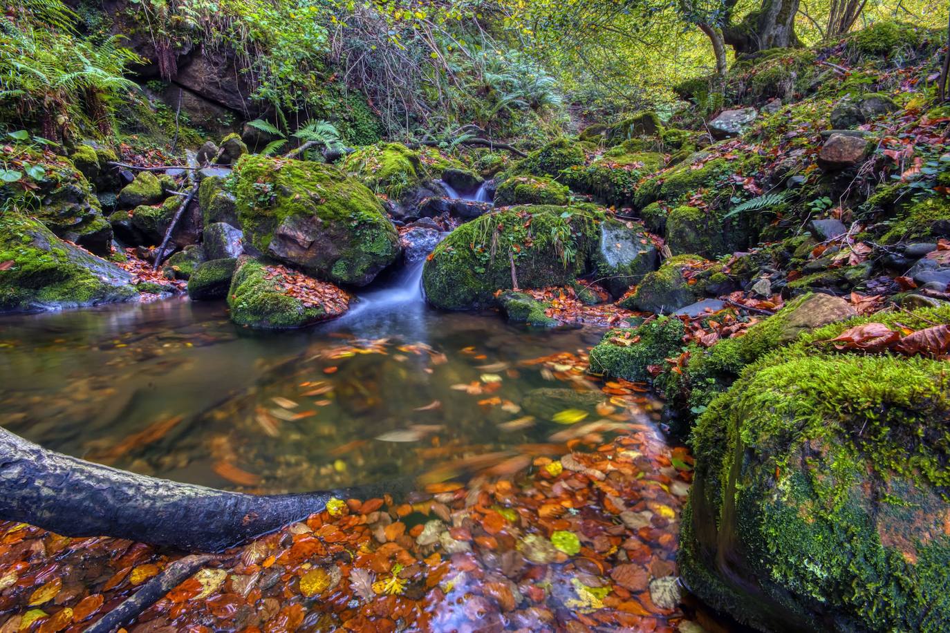 ¿Cuándo llega el otoño?