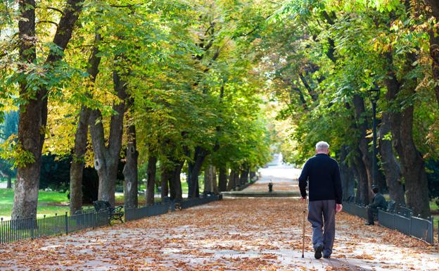 ¿Qué medidas que faltan por aprobar en la segunda fase de la reforma de las pensiones?