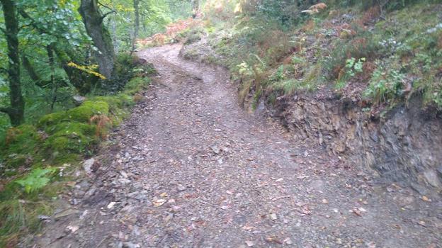 Los ecologistas denuncian el «impacto» de las obras para construir una pista en Redes