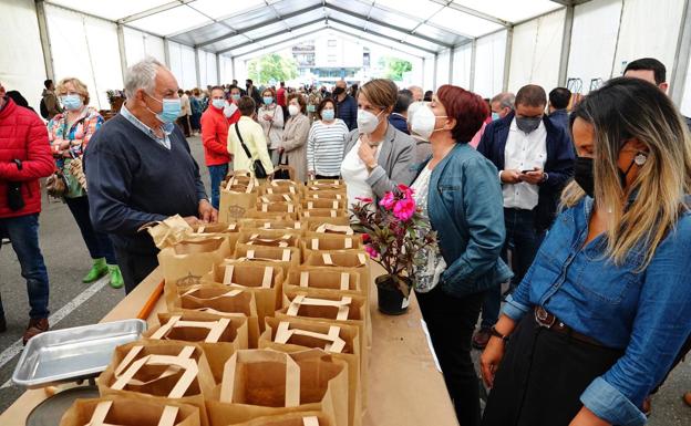 El otoño trae los frutos secos