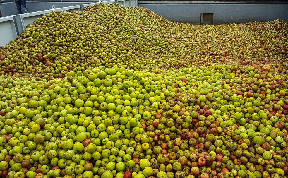 Propuestas para acercar la cultura sidrera de Asturias a los niños