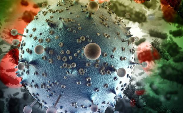 Un nuevo virus animal similar al VIH, «preparado para contagiar» a los humanos: «Debemos prestarle atención»