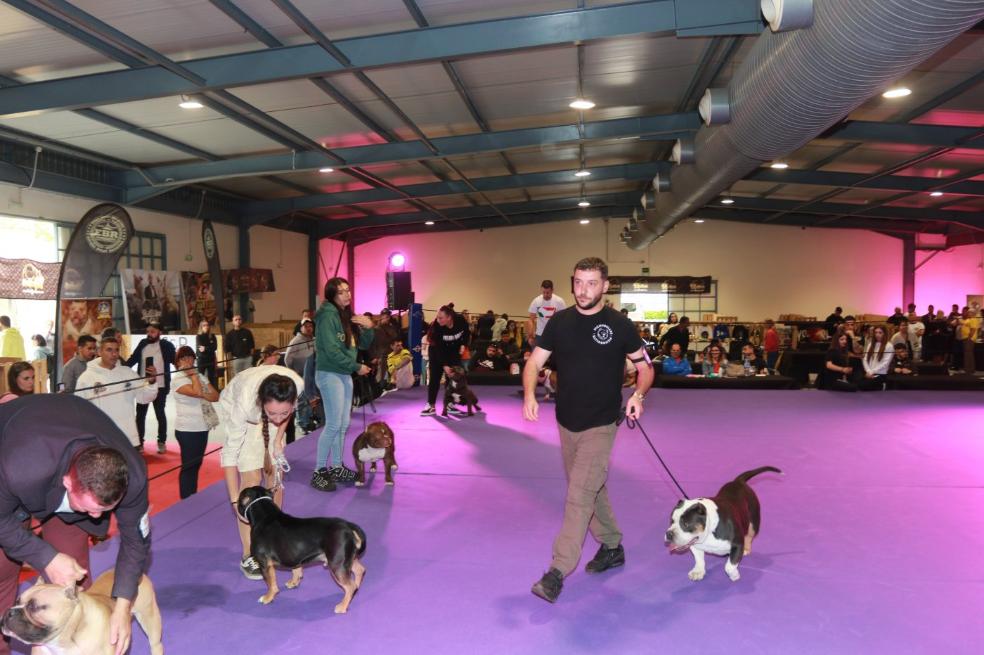 200 perros 'bully' llenan Espacio Mascotas de solidaridad