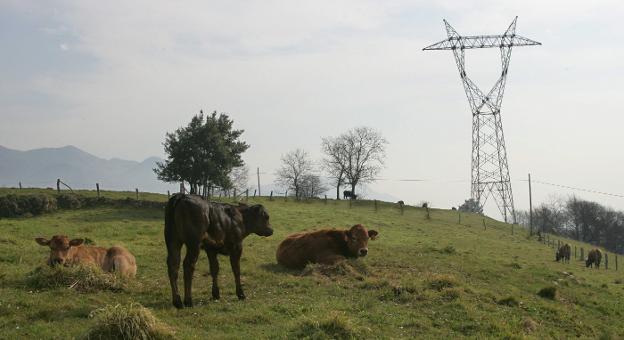 El Nalón espera el desmantelamiento de las torretas de la línea Lada-Velilla