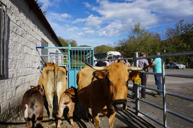 «Los costes cada día suben más, este va a ser un invierno muy complicado»