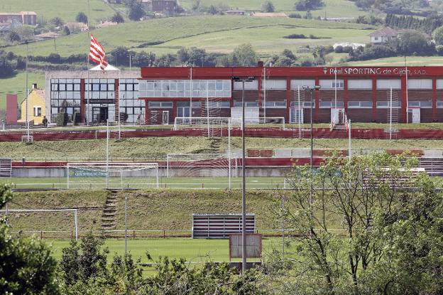 El Sporting ultima un nuevo convenio de Mareo tras perder la preferencia de compra