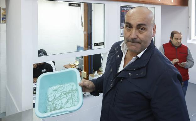 La primera angula del Nalón se paga a 4.599 euros el kilo y con polémica