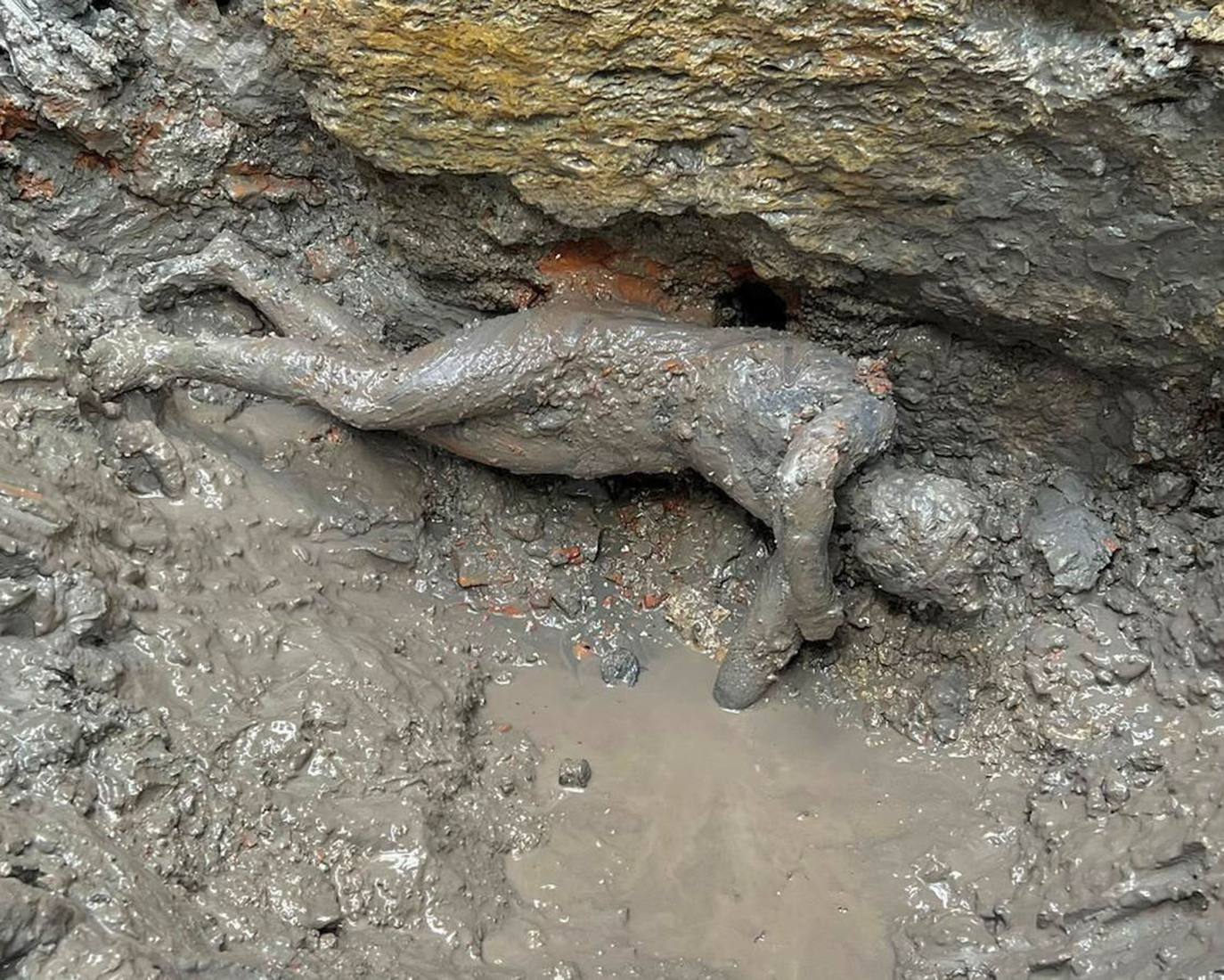 Un tesoro en bronce romano emerge en la Toscana