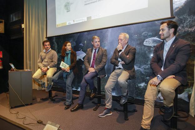 El Acuario de Gijón acogerá el Centro para la Recuperación de Animales Varados