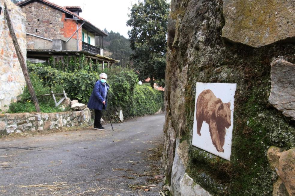 La expansión del oso alcanza ya el Valle del Trubia