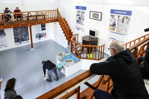 Los anguleros de lancha se estrenan con 9 kilos rulados