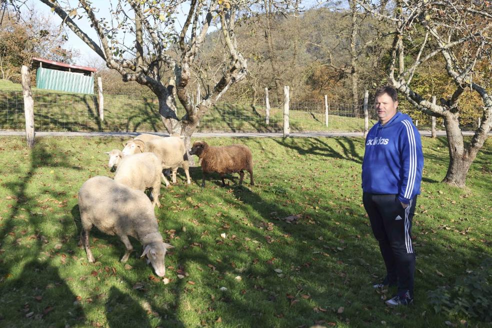 «Los ataques fueron a escasos metros de casa»