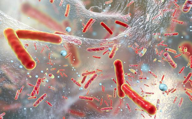 Europa, ante un notable aumento de casos de difteria resistente a antibióticos