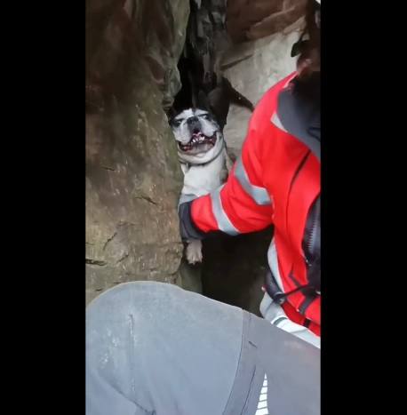 Rescatan a un perro en el Cerro que había caído por una grieta muy profunda