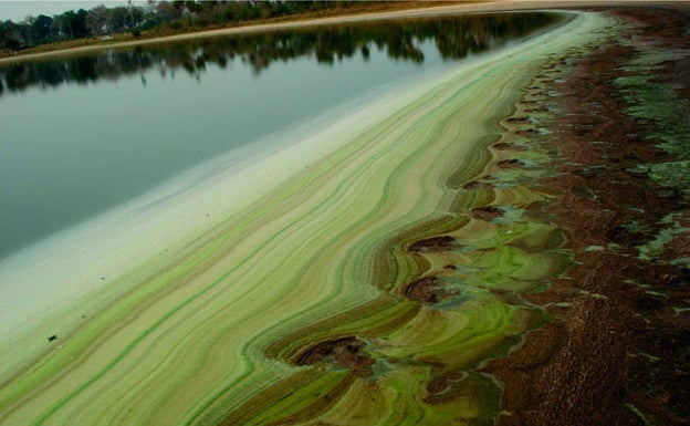 Por qué el metano se disparó el año del confinamiento sin apenas contaminación