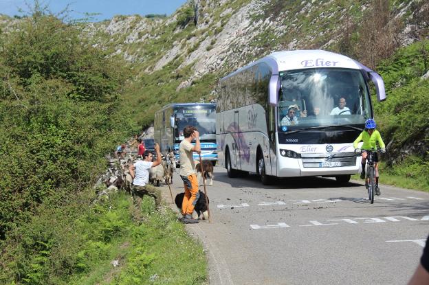 Alertan de problemas por el aumento de coches y del mal estado del acceso a los Lagos