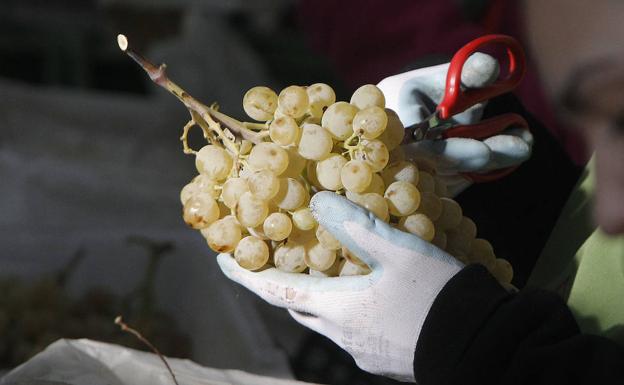Alimentos a evitar para los niños esta Nochevieja y cómo actuar ante un atragantamiento
