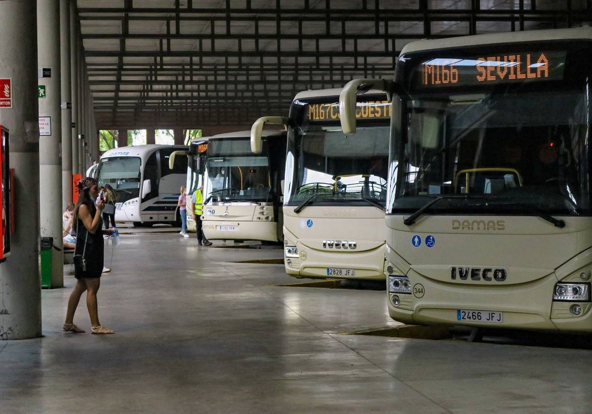 Estas son las líneas de autobuses gratuitas desde 2023 en España