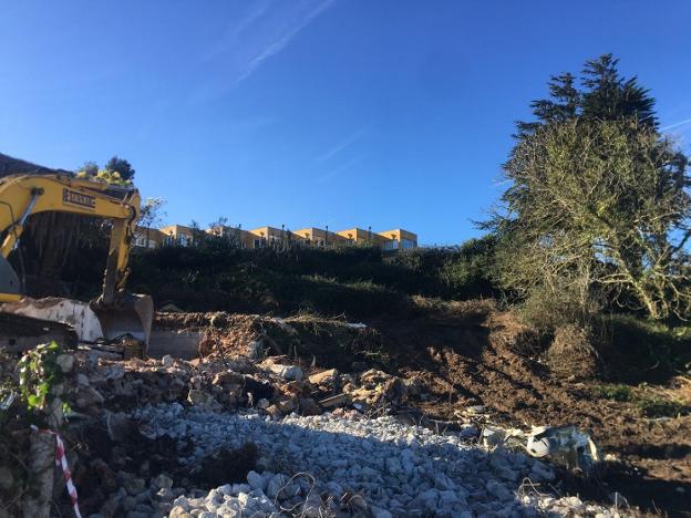 La Coordinadora Ecologista de Asturias denuncia la tala de árboles en un paraje de Luanco