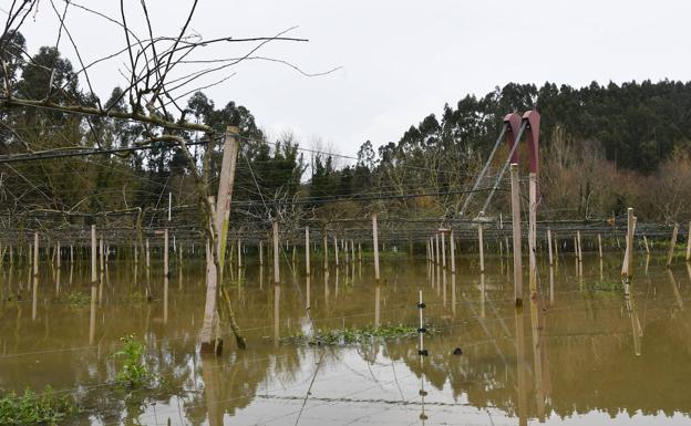 En directo: última hora del temporal en Asturias