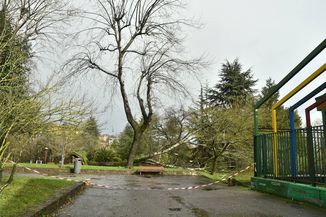 Árboles caídos y nuevas inundaciones por el fuerte temporal en Avilés