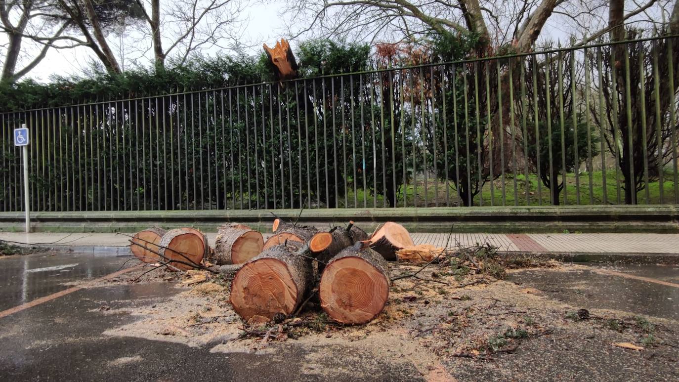 El temporal deja otros cinco árboles caídos en Avilés y nuevas inundaciones