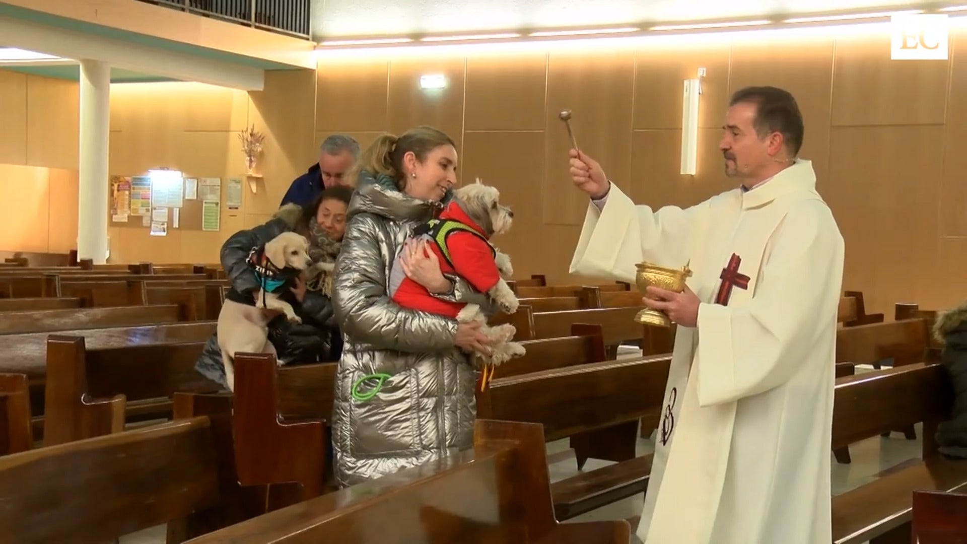 Bendición de mascotas por San Antón