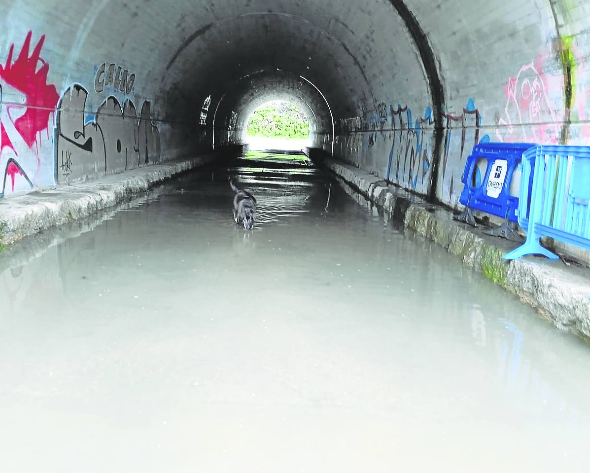 Las lluvias inundan el túnel bajo la A-66 en Olloniego
