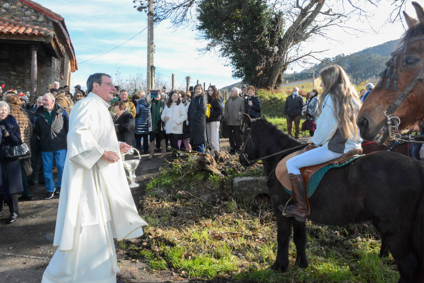 San Antón protege a las mascotas de Taborneda