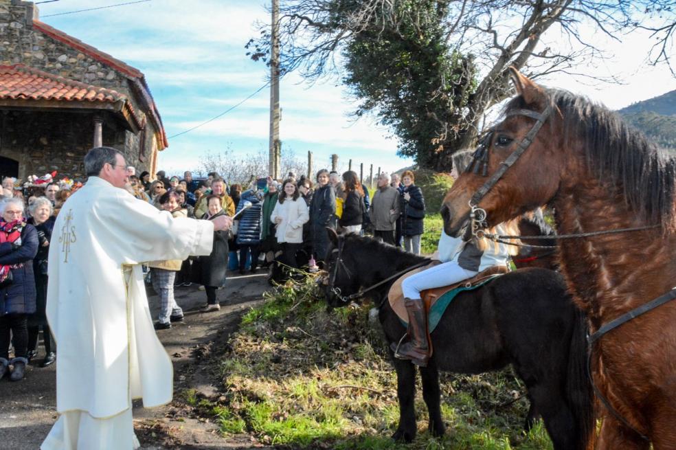 San Antón protege a las mascotas