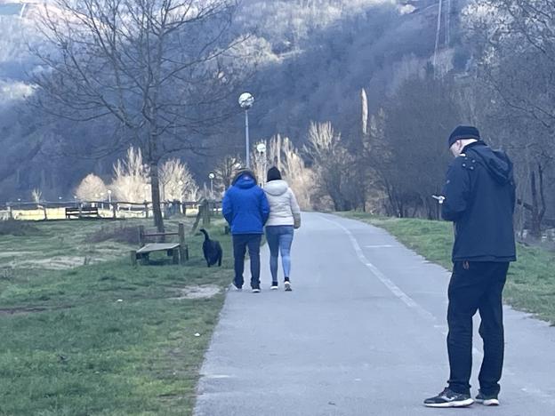 Un vecino de Laviana mata de varias cuchilladas a la perra de un conocido con el que se lleva mal